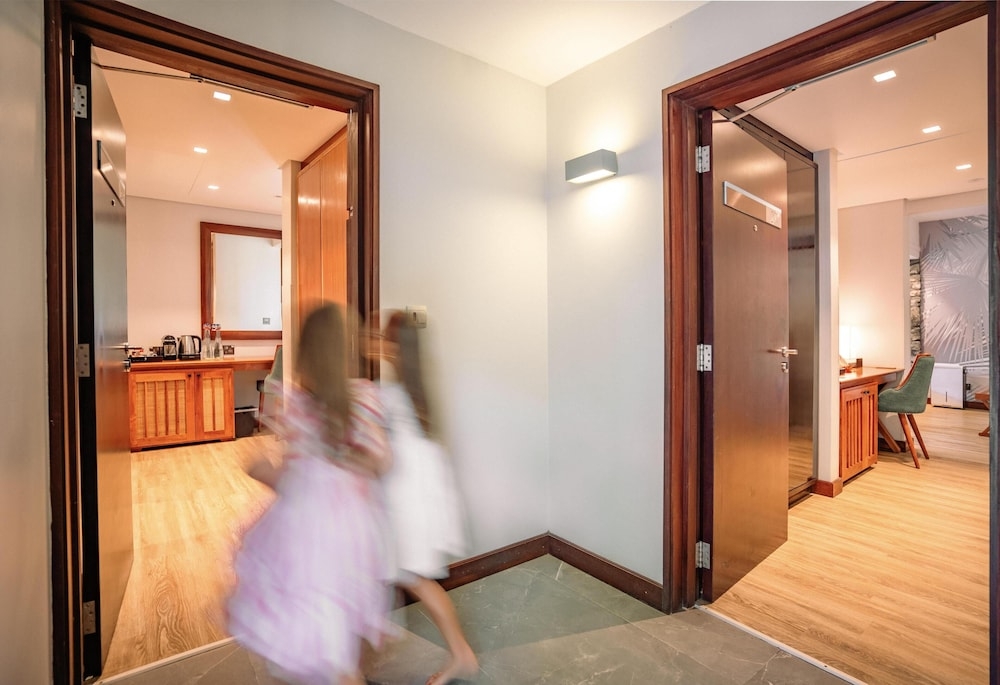 メイン イメージ