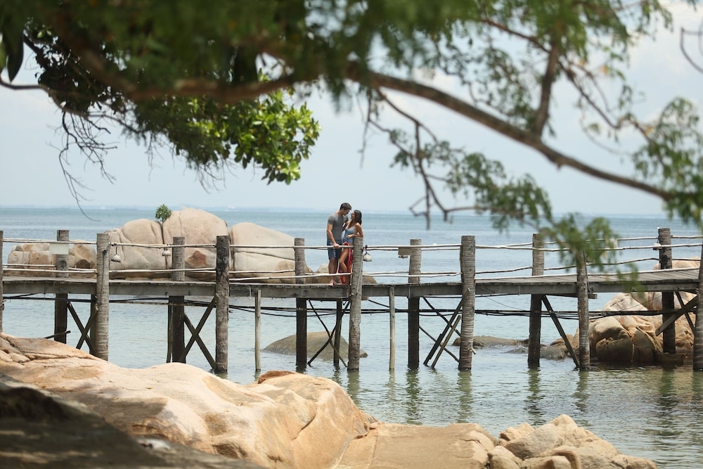 施設からの眺望
