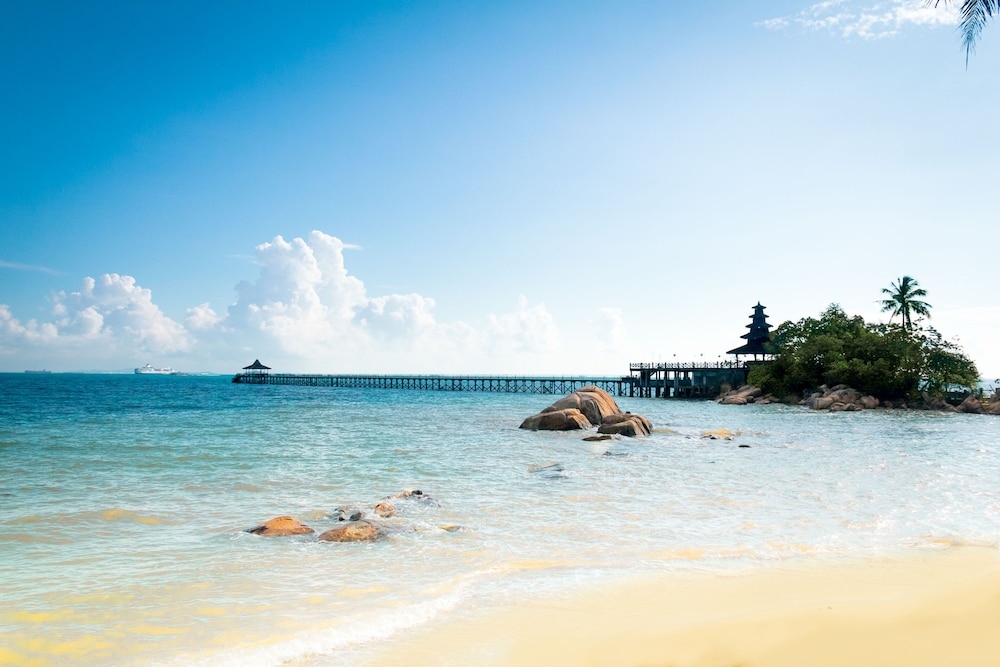 ビーチ / オーシャン ビュー