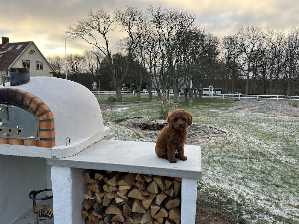 バーベキュー / ピクニック エリア