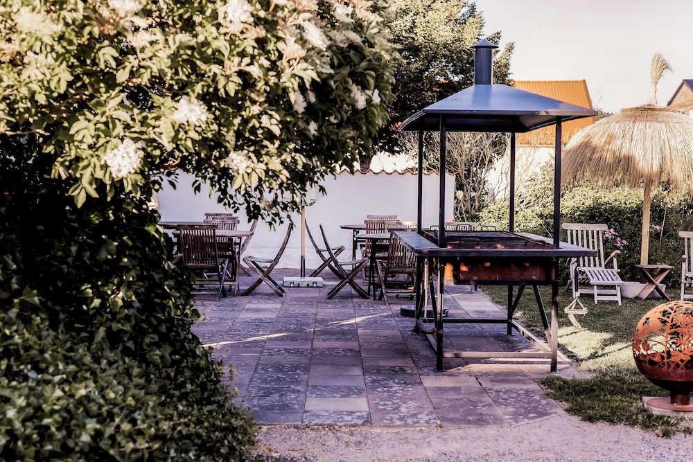 バーベキュー / ピクニック エリア