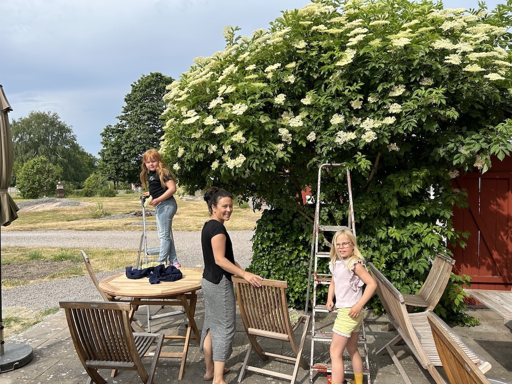 テラス / パティオ