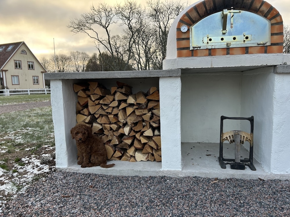 バーベキュー / ピクニック エリア