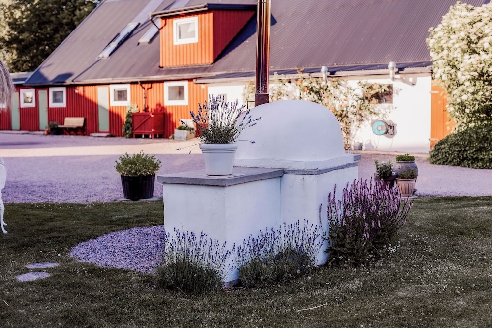 バーベキュー / ピクニック エリア