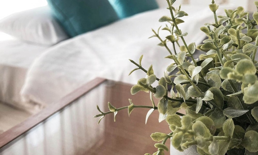 客室の設備とサービス