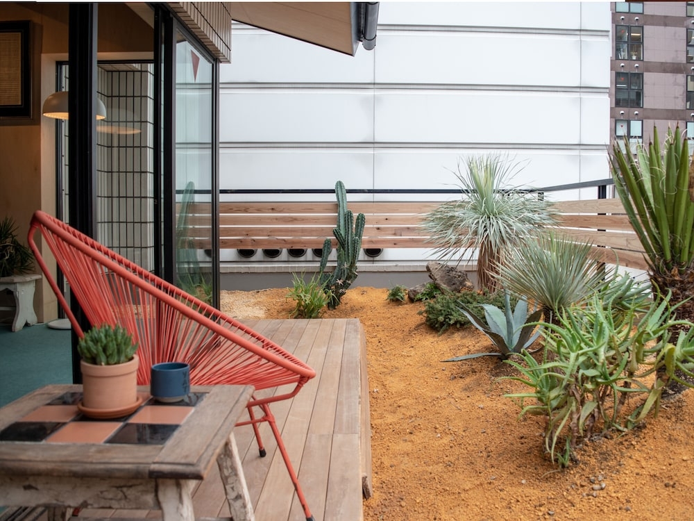 テラス / パティオ