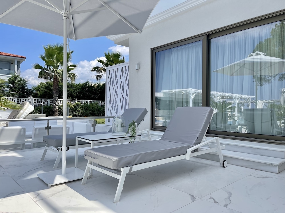 テラス / パティオ