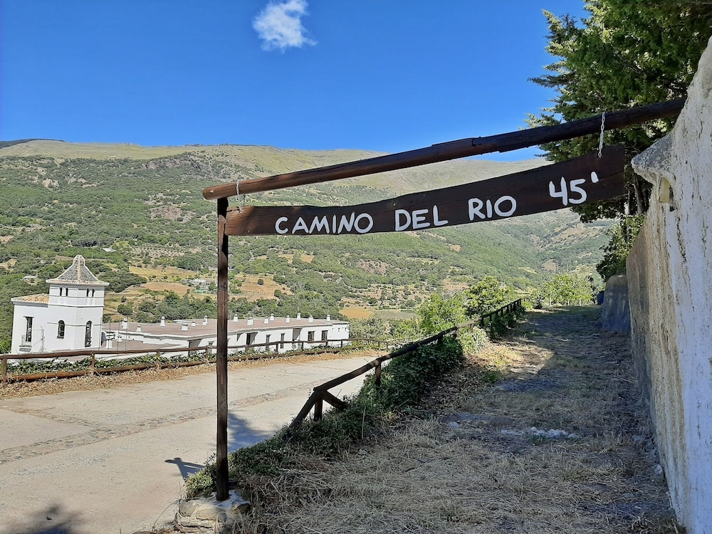 子供向けアクティビティ