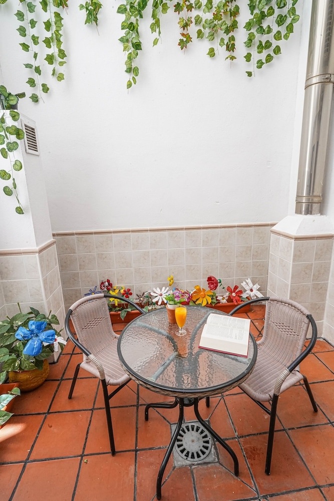 テラス / パティオ