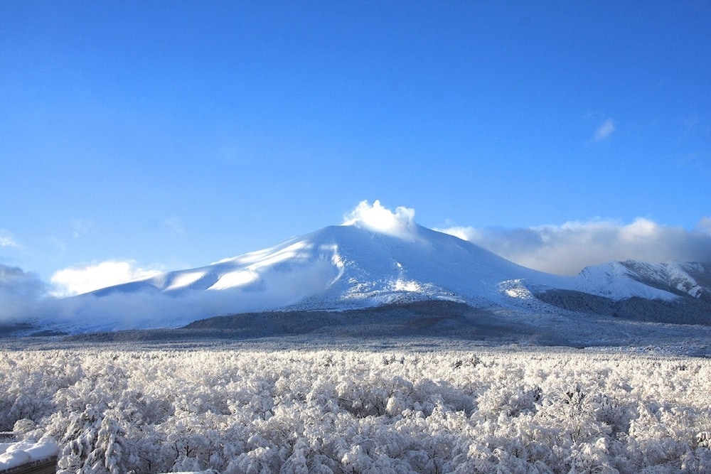 スノー スポーツとスキー