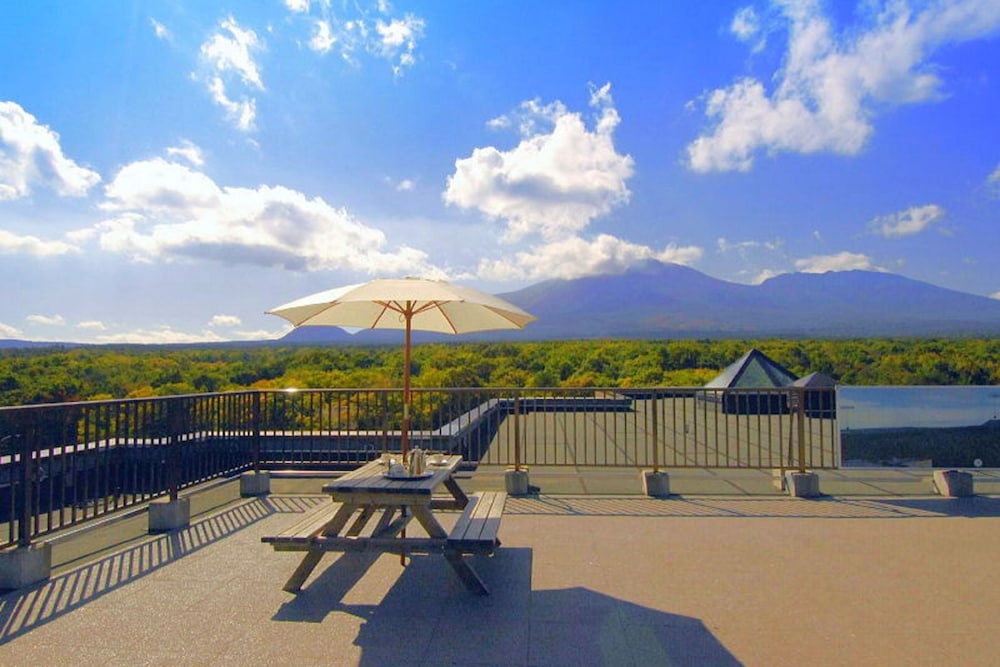 テラス / パティオ