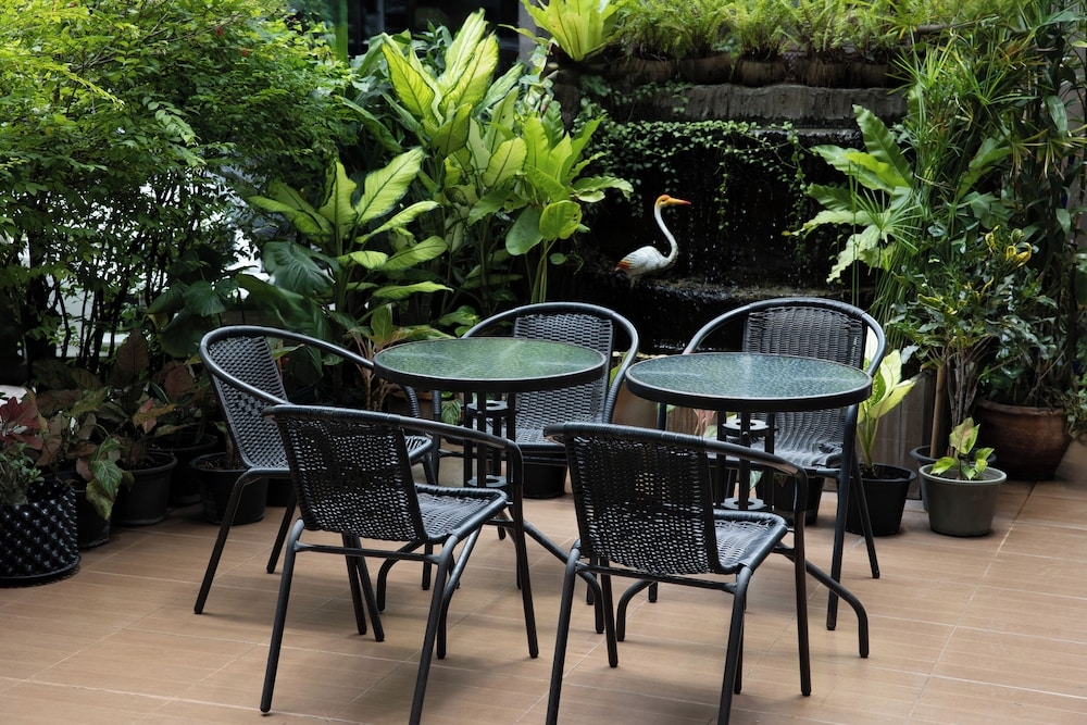 テラス / パティオ