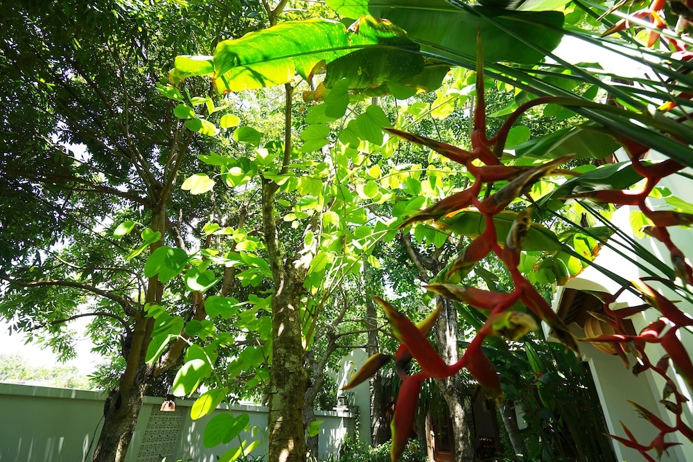 施設からの眺望