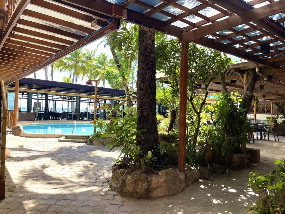 テラス / パティオ