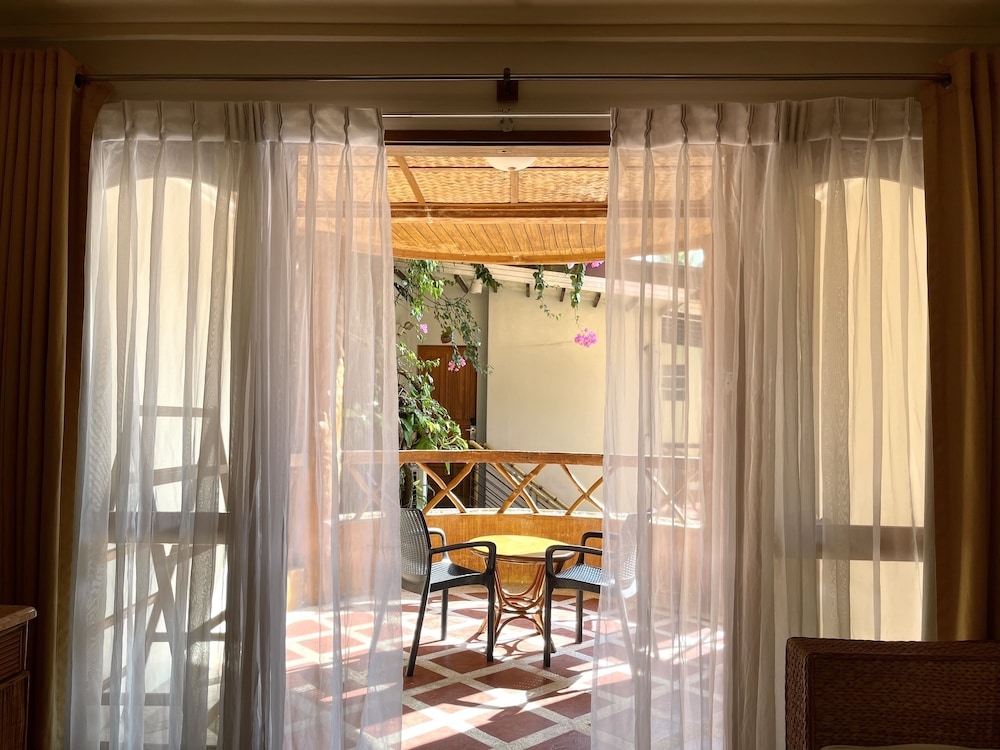 テラス / パティオ