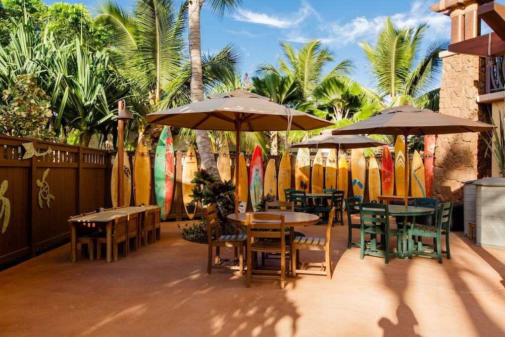 テラス / パティオ