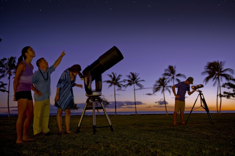 子供向けアクティビティ