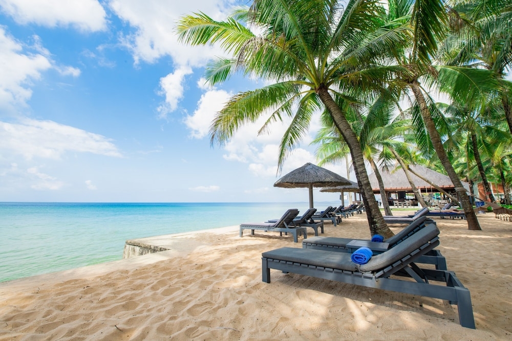 ビーチ / オーシャン ビュー