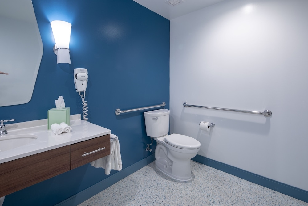 バリアフリー バスルーム