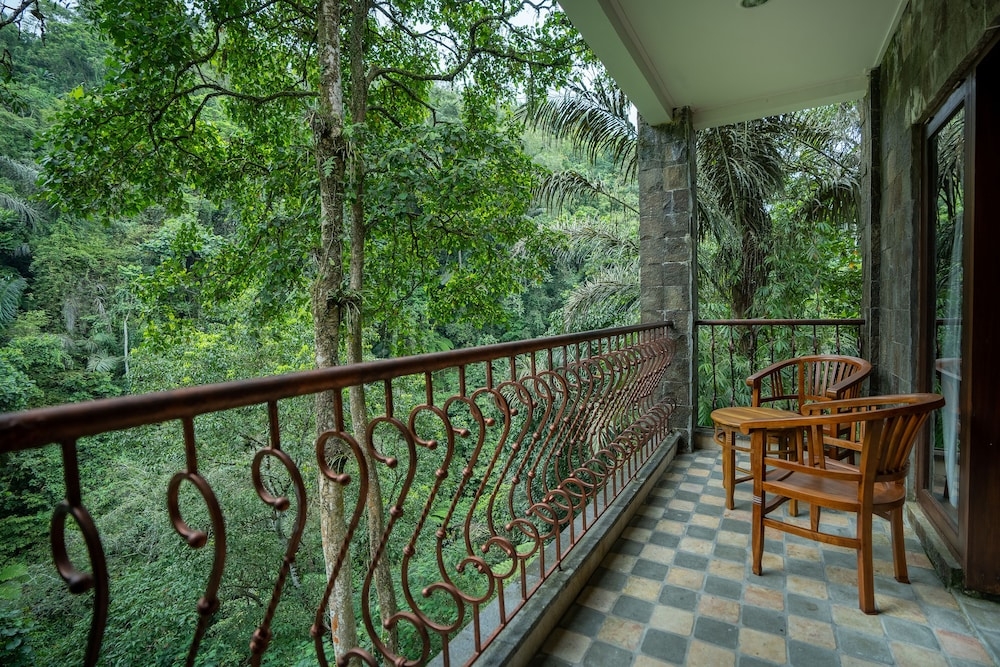 テラス / パティオ