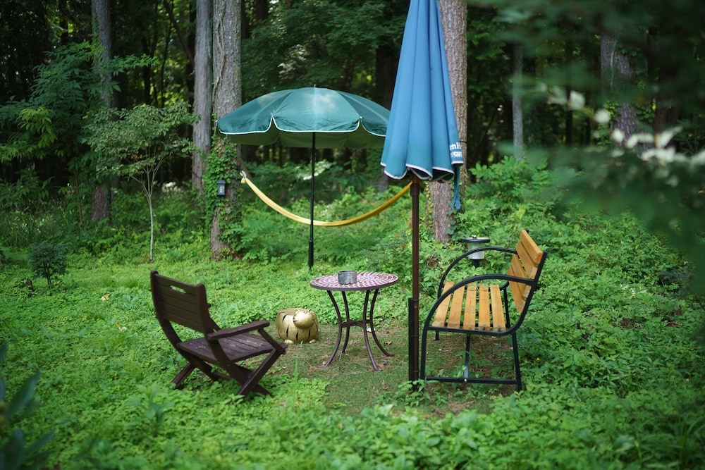 テラス / パティオ