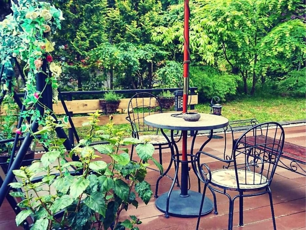 テラス / パティオ