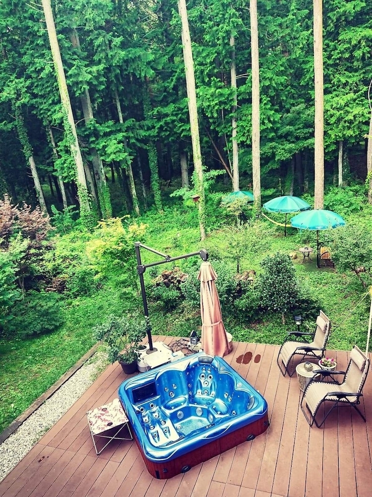 テラス / パティオ