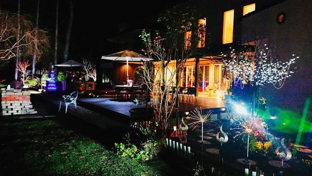 テラス / パティオ