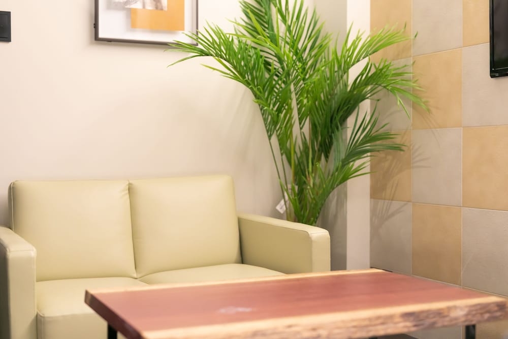 リビング エリア