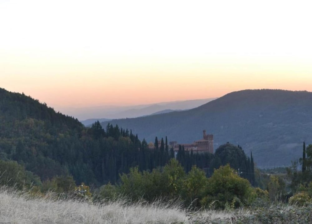 施設からの眺望