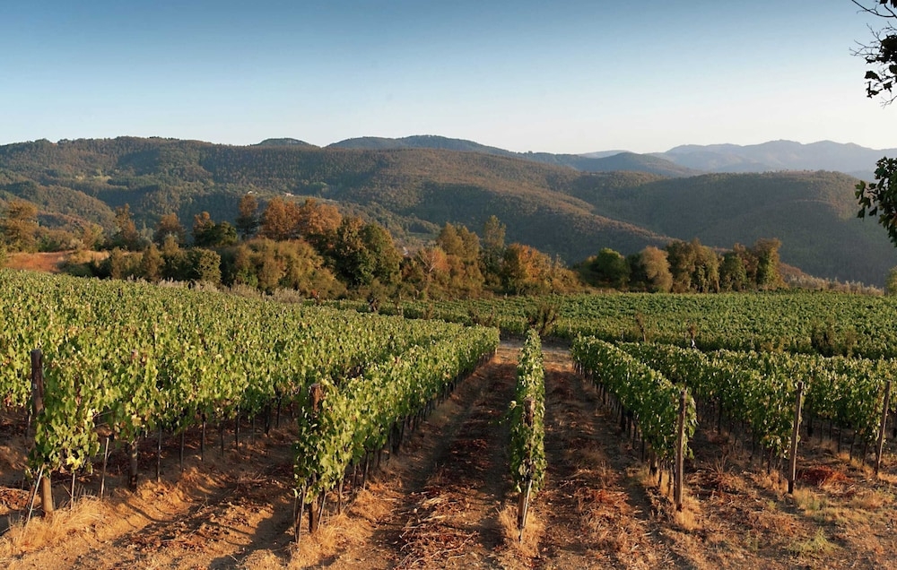 施設からの眺望