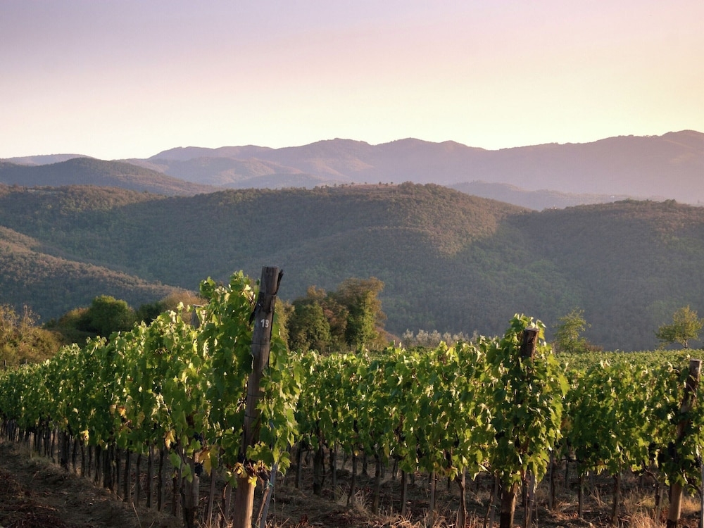 施設からの眺望