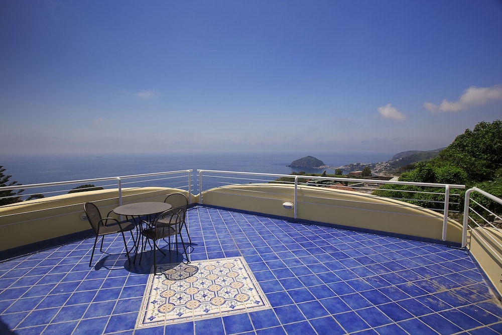 テラス / パティオ