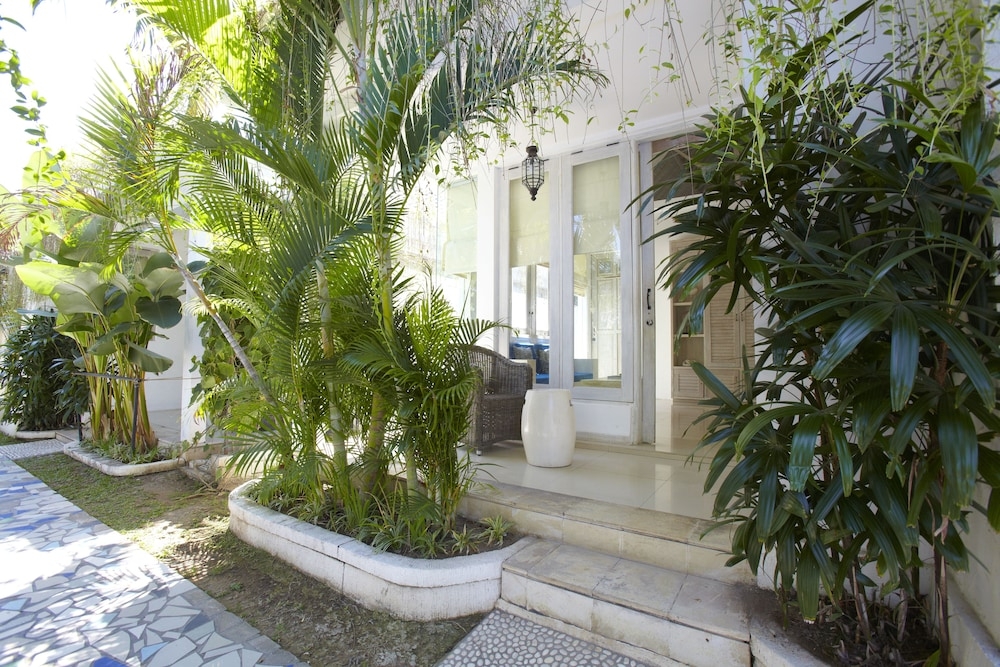 テラス / パティオ