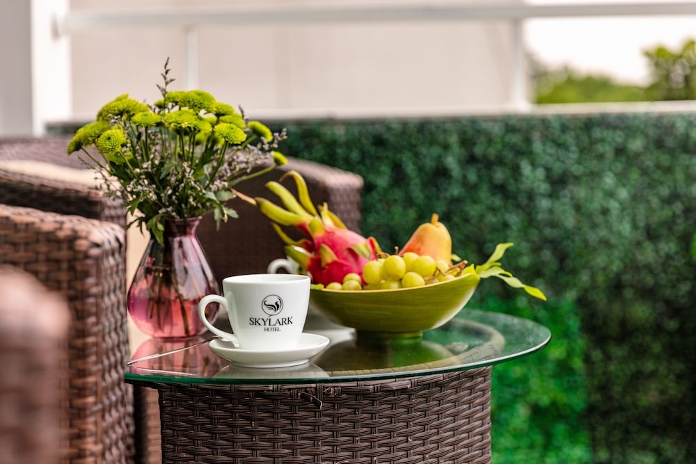 テラス / パティオ