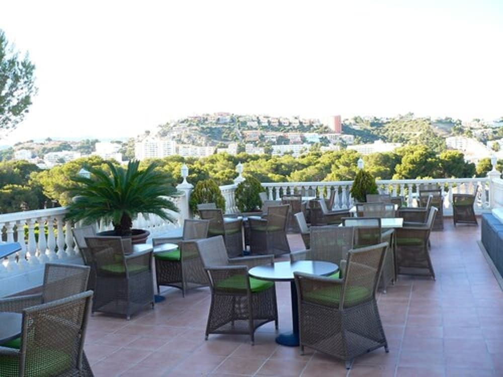 テラス / パティオ