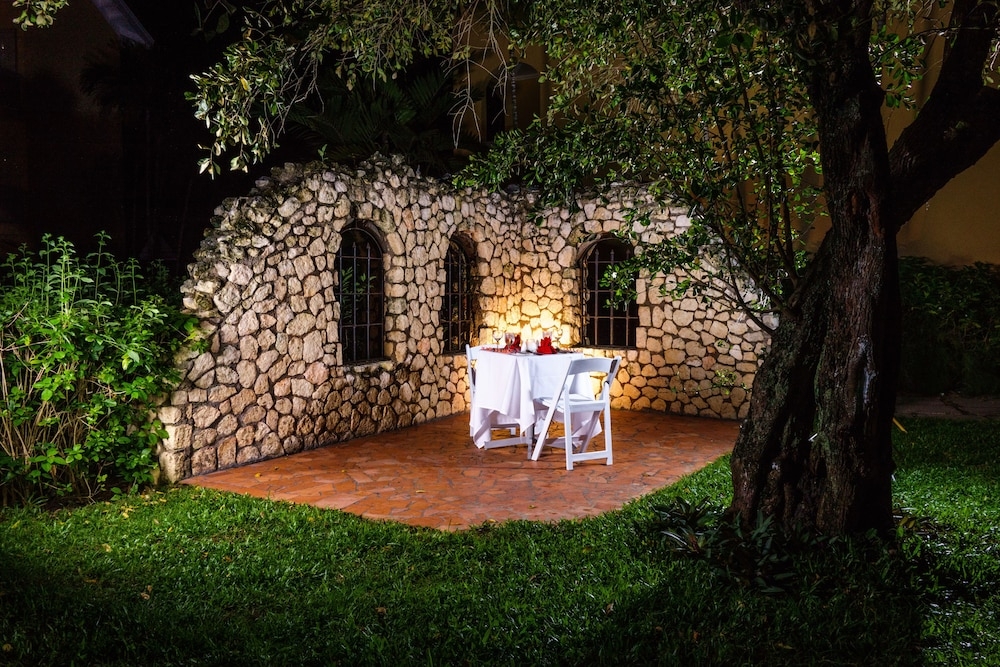 テラス / パティオ