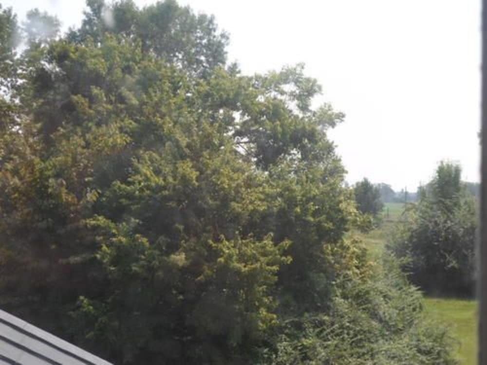 施設からの眺望