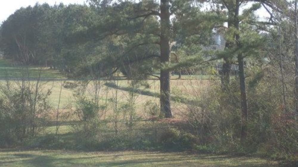 施設からの眺望