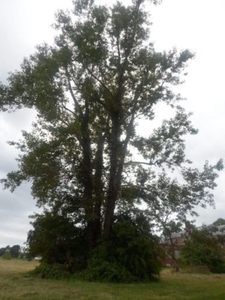 施設からの眺望