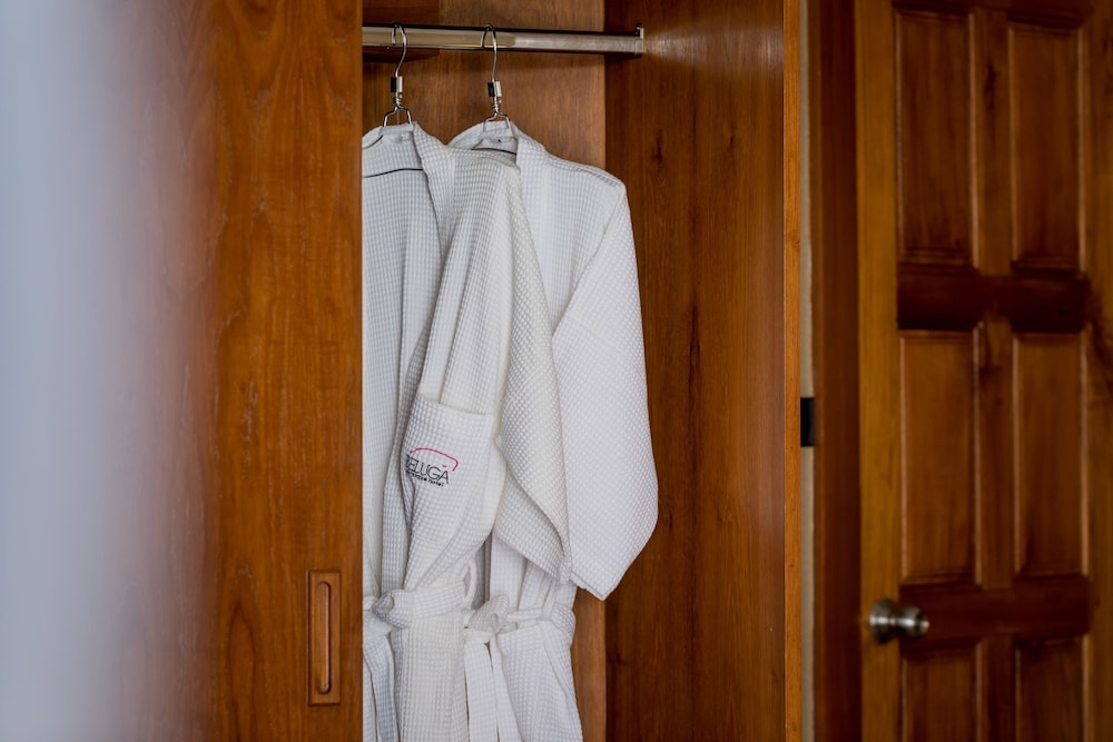 客室の設備とサービス