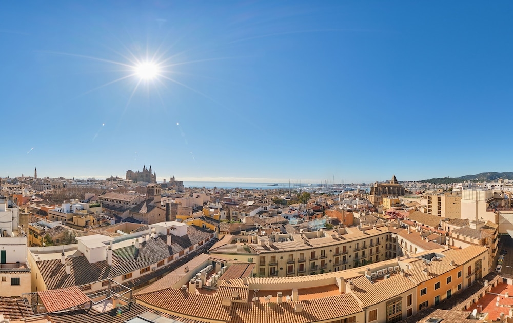 メイン イメージ