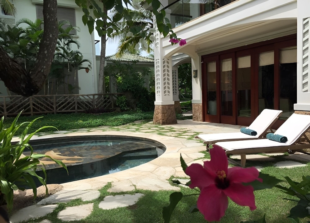 テラス / パティオ