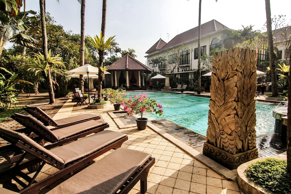 テラス / パティオ