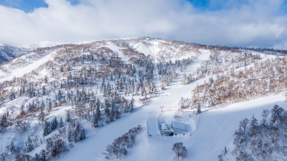 スノー スポーツとスキー