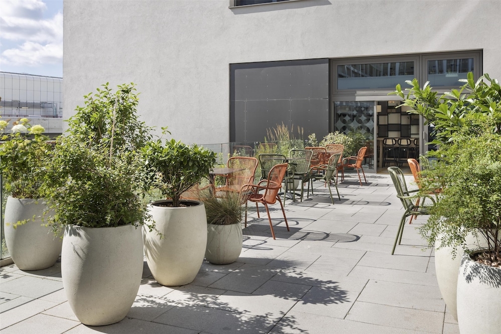 テラス / パティオ