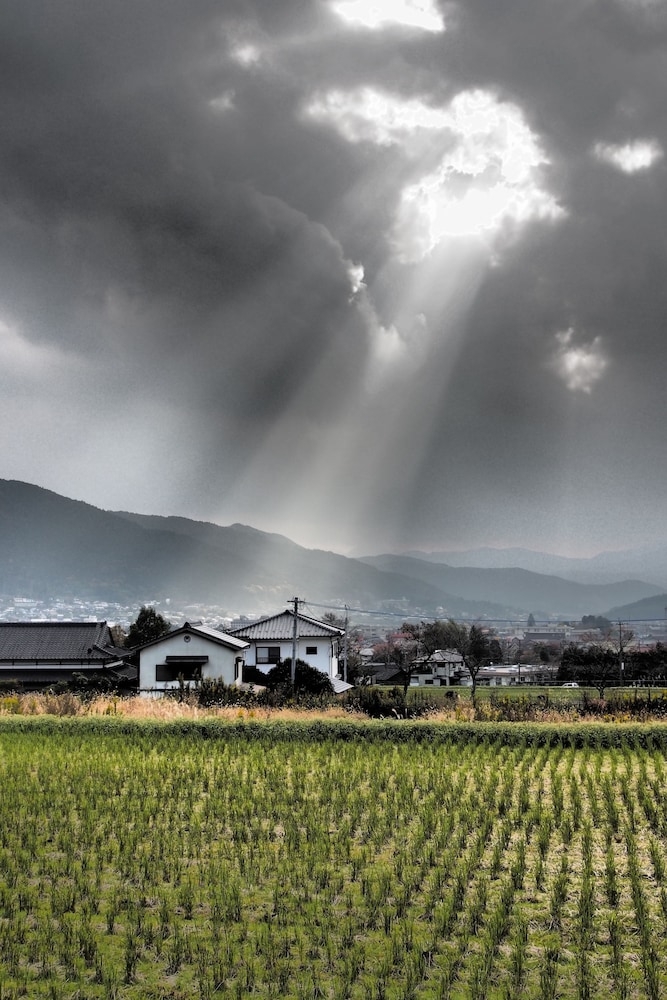 マウンテン ビュー