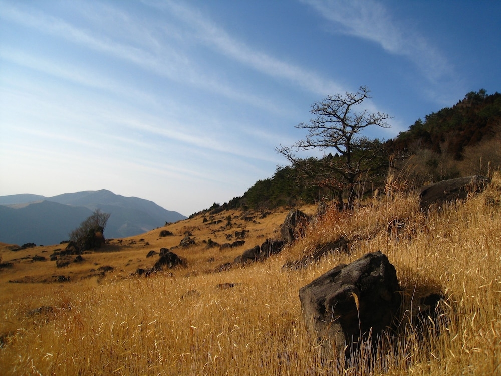 マウンテン ビュー