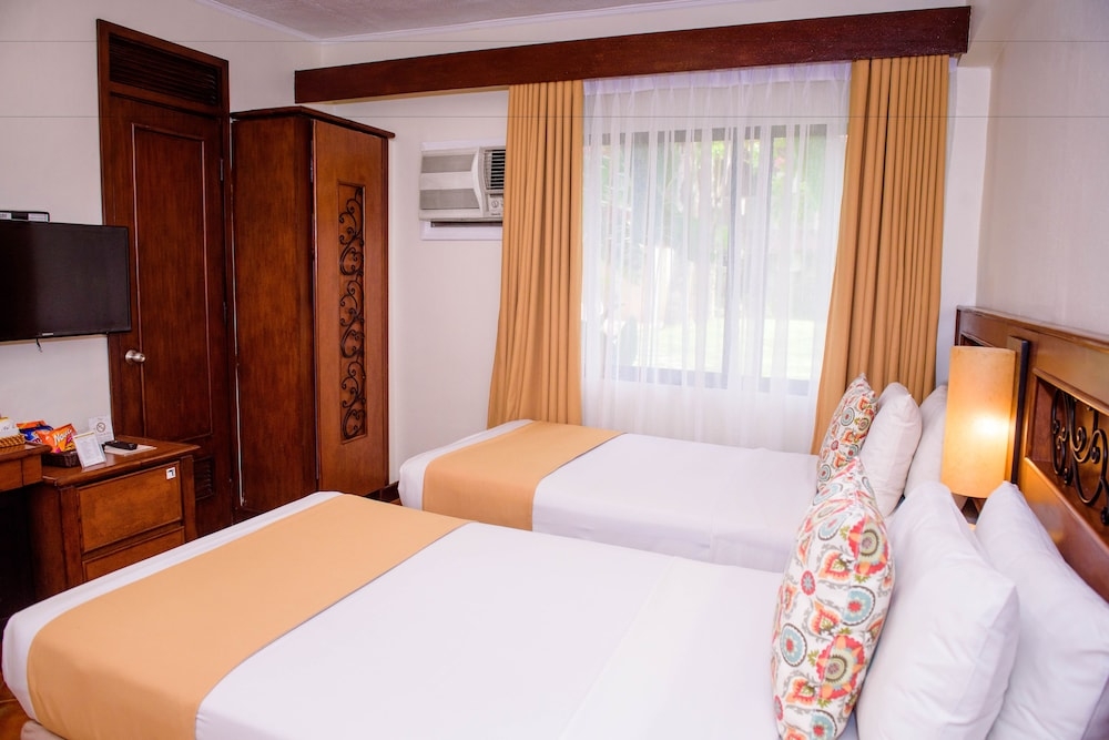 メイン イメージ