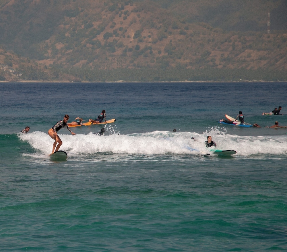 サーフィン / ボディボード